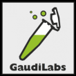 GaudiLabs icon