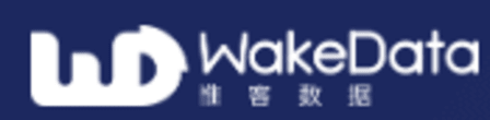 WakeData icon