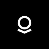 Palantir Technologies logo