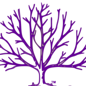 Nitrase Therapeutics logo