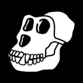 Bored Ape Yacht Club logo