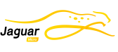 Jaguar Microsystems logo