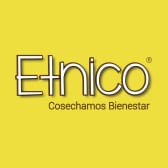 Etnico logo