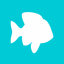 POF Plenty Of Fish startup logo