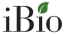 iBio startup logo