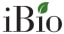 iBio startup logo