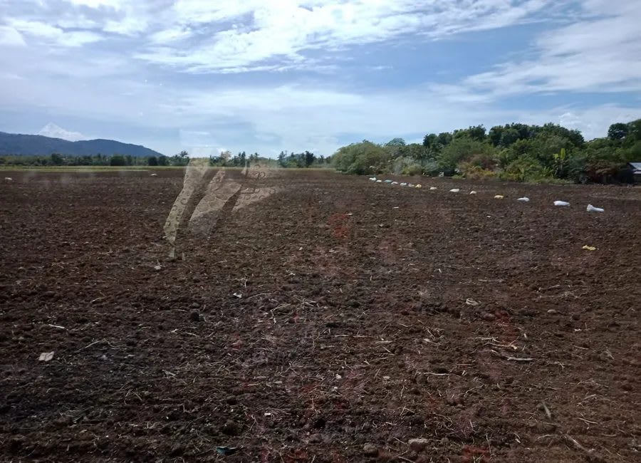 Vacant Farm Lot for Sale in Brgy. Mabacan, Calauan, Laguna (photo 1 of 2)