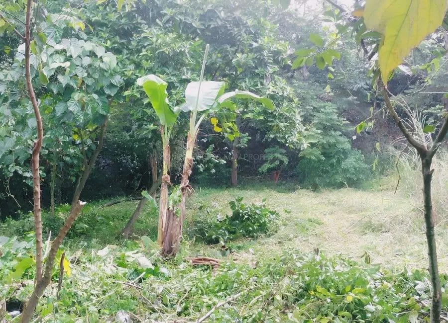 2,254 SQM Prime Commercial Lot for Sale in Dasmarinas Cavite (photo 1 of 2)