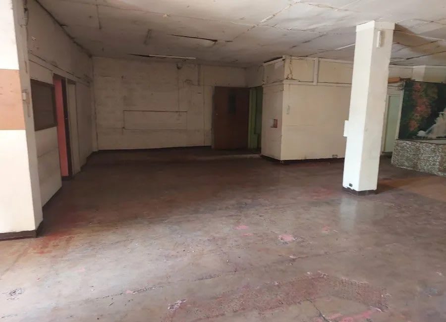 Commercial Lot for Sale on Quirino Avenue, Tambo, Parañaque (photo 1 of 2)