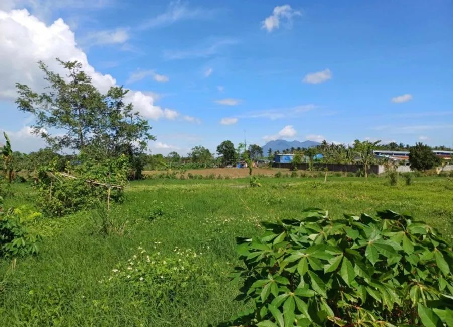 Lot for Sale, San Fernando, San Juan Rd., Malvar, Batangas (photo 1 of 3)