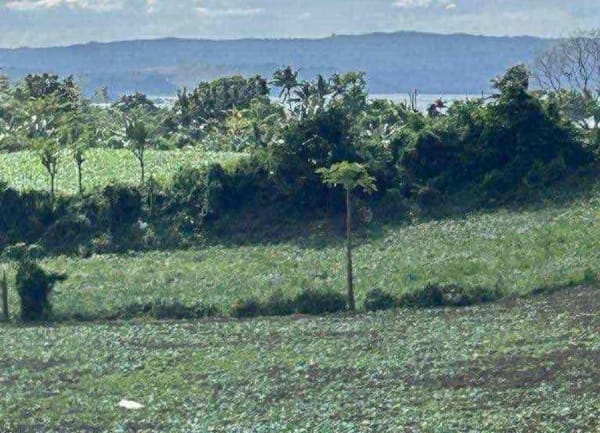 4-Hectare Commercial Property Along Highway in Batangas (photo 1 of 3)