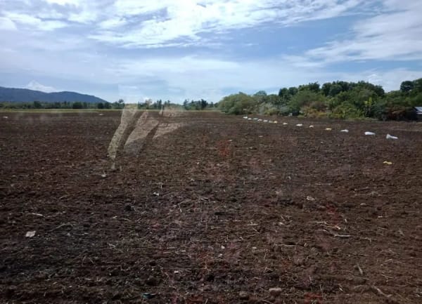Vacant Farm Lot for Sale in Brgy. Mabacan, Calauan, Laguna (photo 1 of 2)