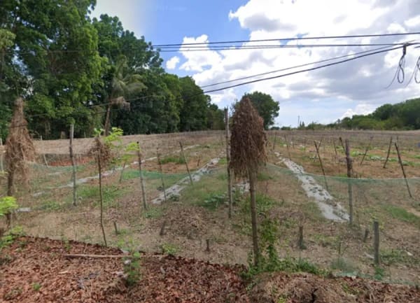 Vacant Lot for Sale in Mahanadiong, Taysan, Batangas City (photo 1 of 2)
