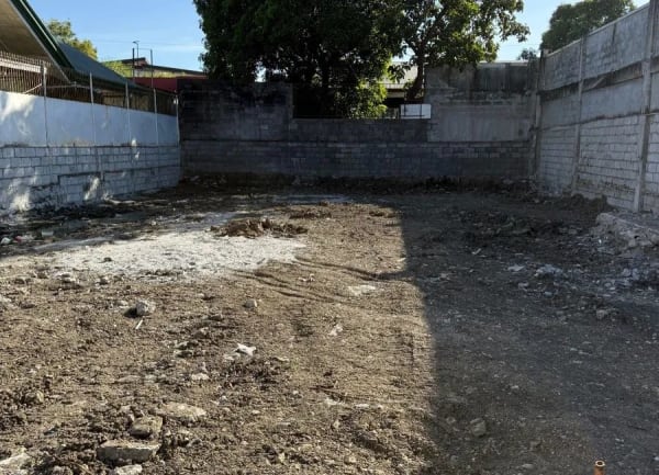 Prime Commercial Lot for Sale Along Aguirre Avenue, BF Homes (photo 1 of 2)