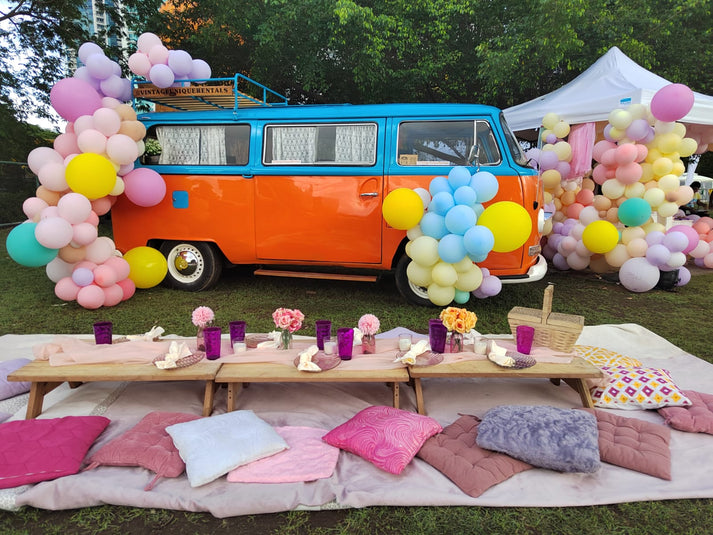 JK Tours Panama VW bus picnic experience