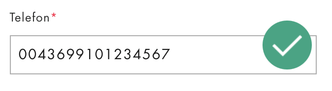 A phone number input field filled with a number containing the country code. The validation passed.