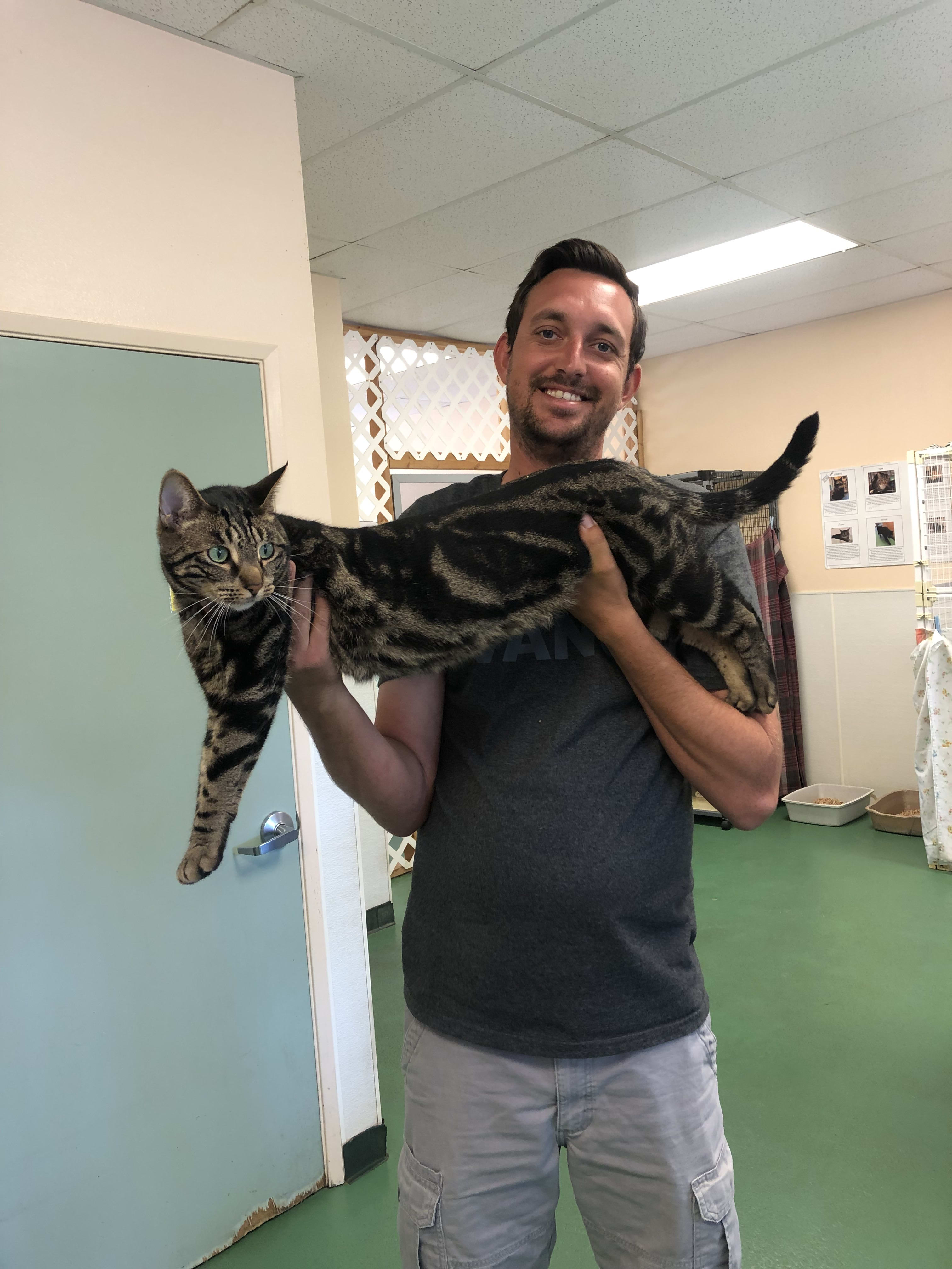 Cal poly cat shelter shop