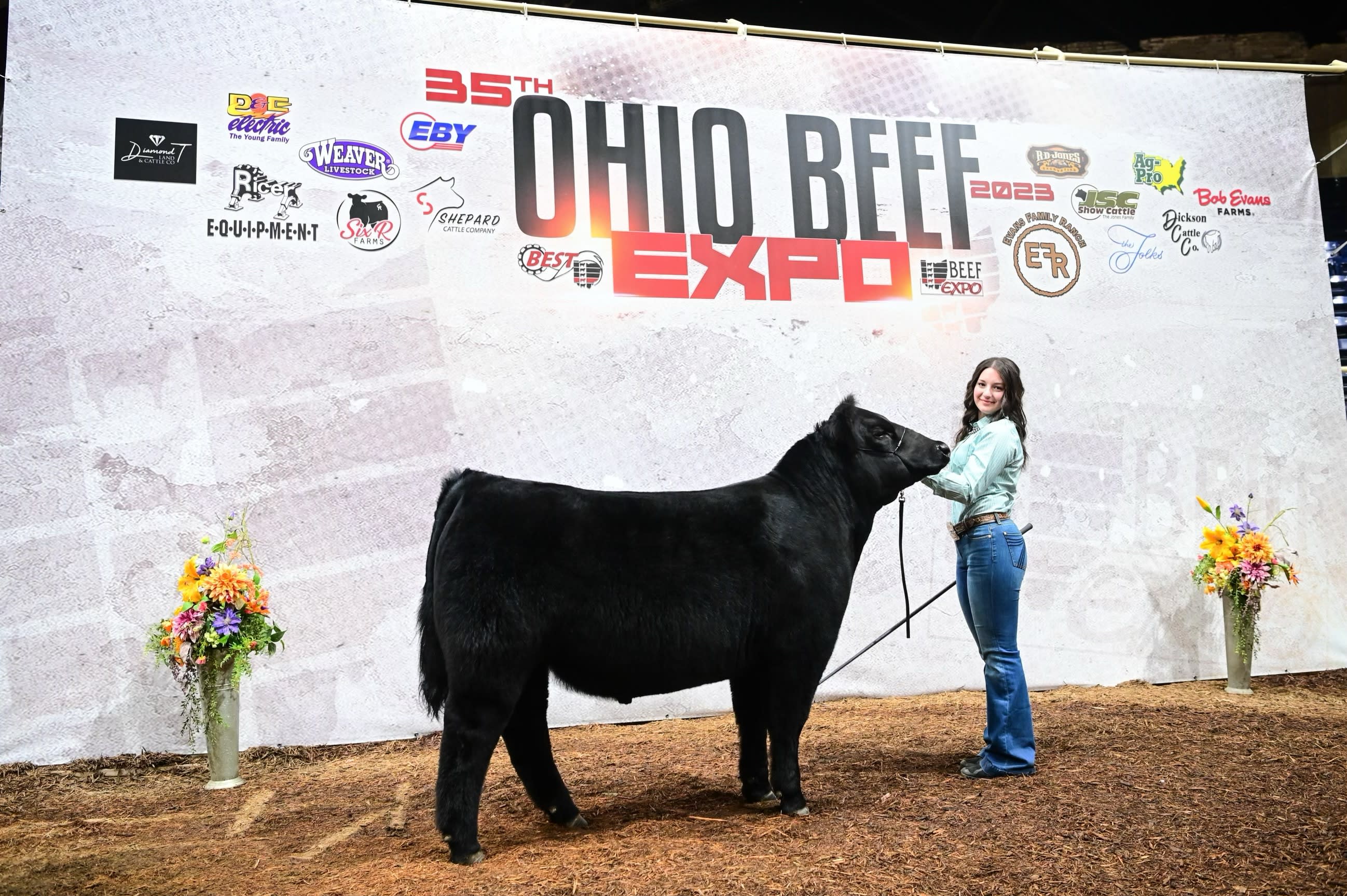 Individual standing with a steer at the Ohio Beef Expo