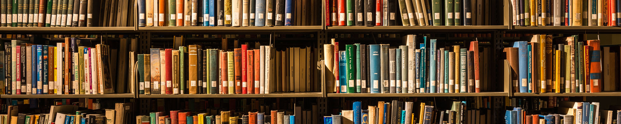 Image of library books on shelves