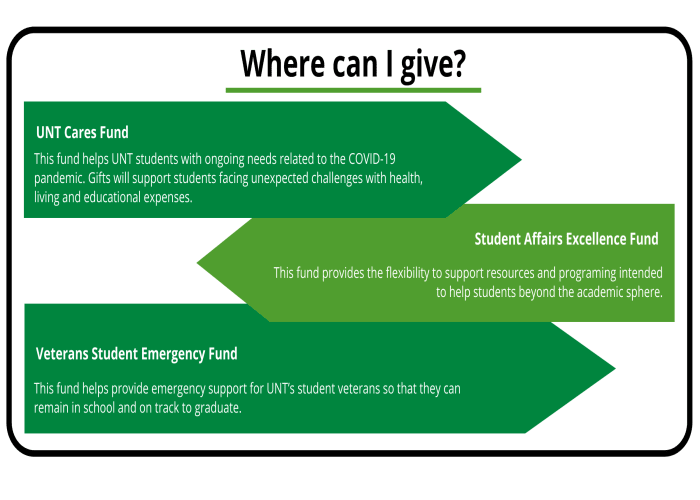 Student Affairs Excellence Fund – - This fund provides the flexibility to support resources and programing intended to help students beyond the academic sphere. UNT Cares Fund – This fund helps UNT students with ongoing needs related to the spread of COVID-19. Gifts will support students facing unexpected challenges with health, living and educational expenses. Veterans Student Emergency Fund – This fund helps provide emergency support for UNT’s student veterans so that they can remain in school and stay on track to graduate. 