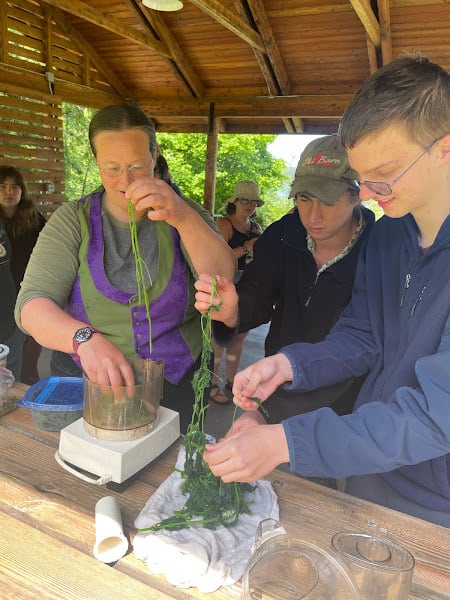 3 people examining seaweed 