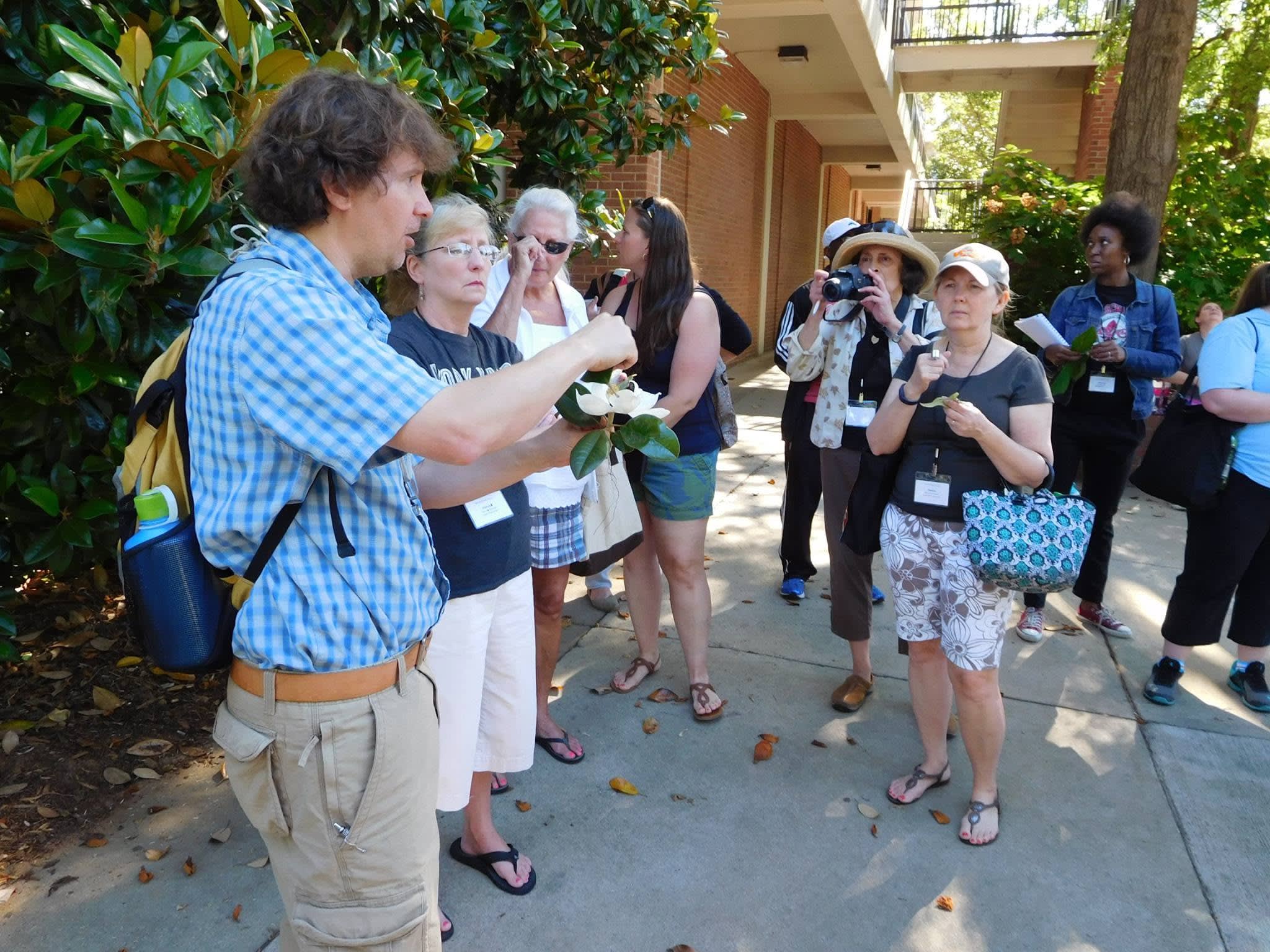 HerbariumCurator Herrick Brown discusses the flower of a Magnolia during a Botany Walk.