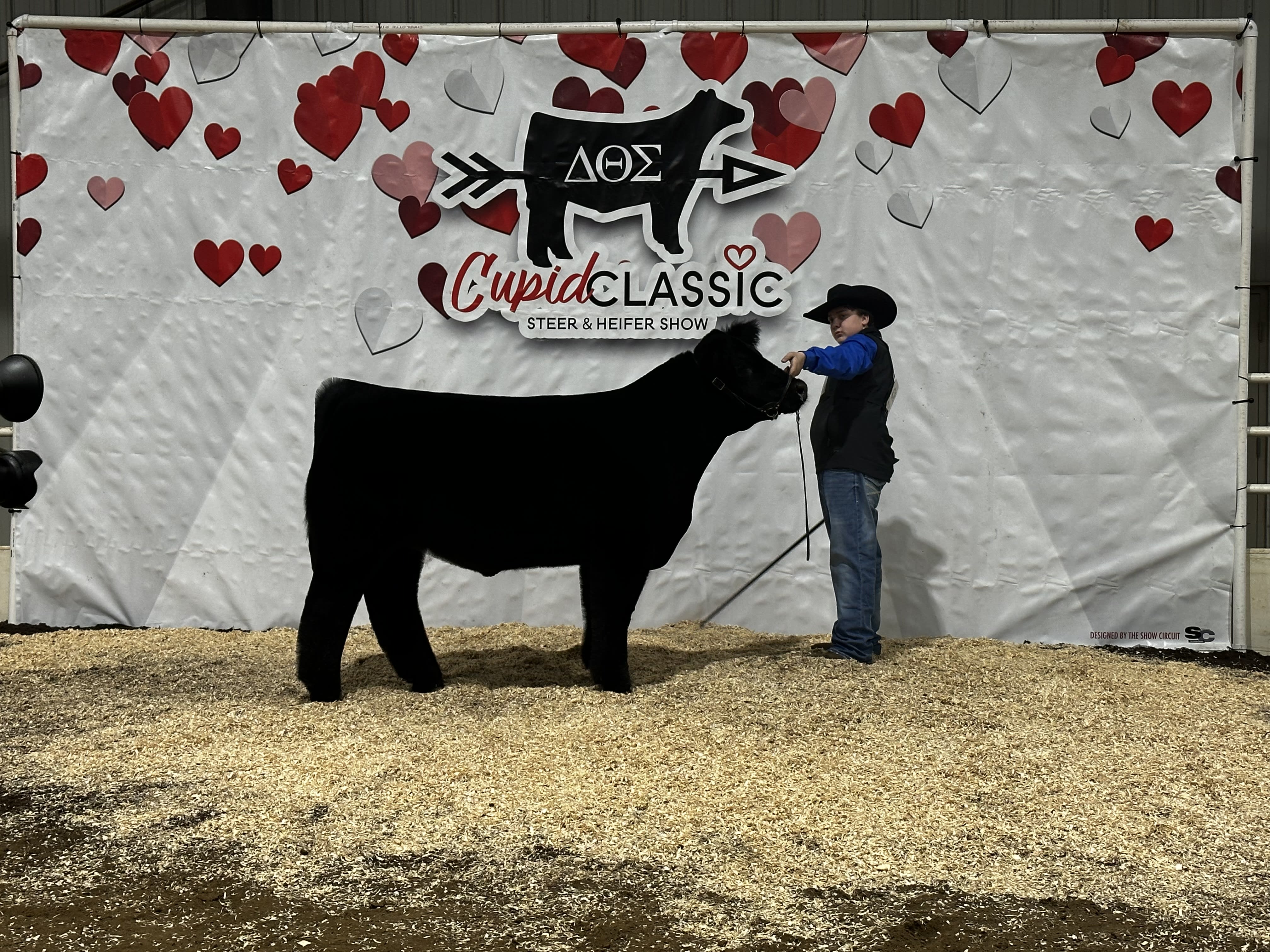 Child standing next to a steer. Behind him is the 'Cupid Classic' logo with hearts on a white backdrop