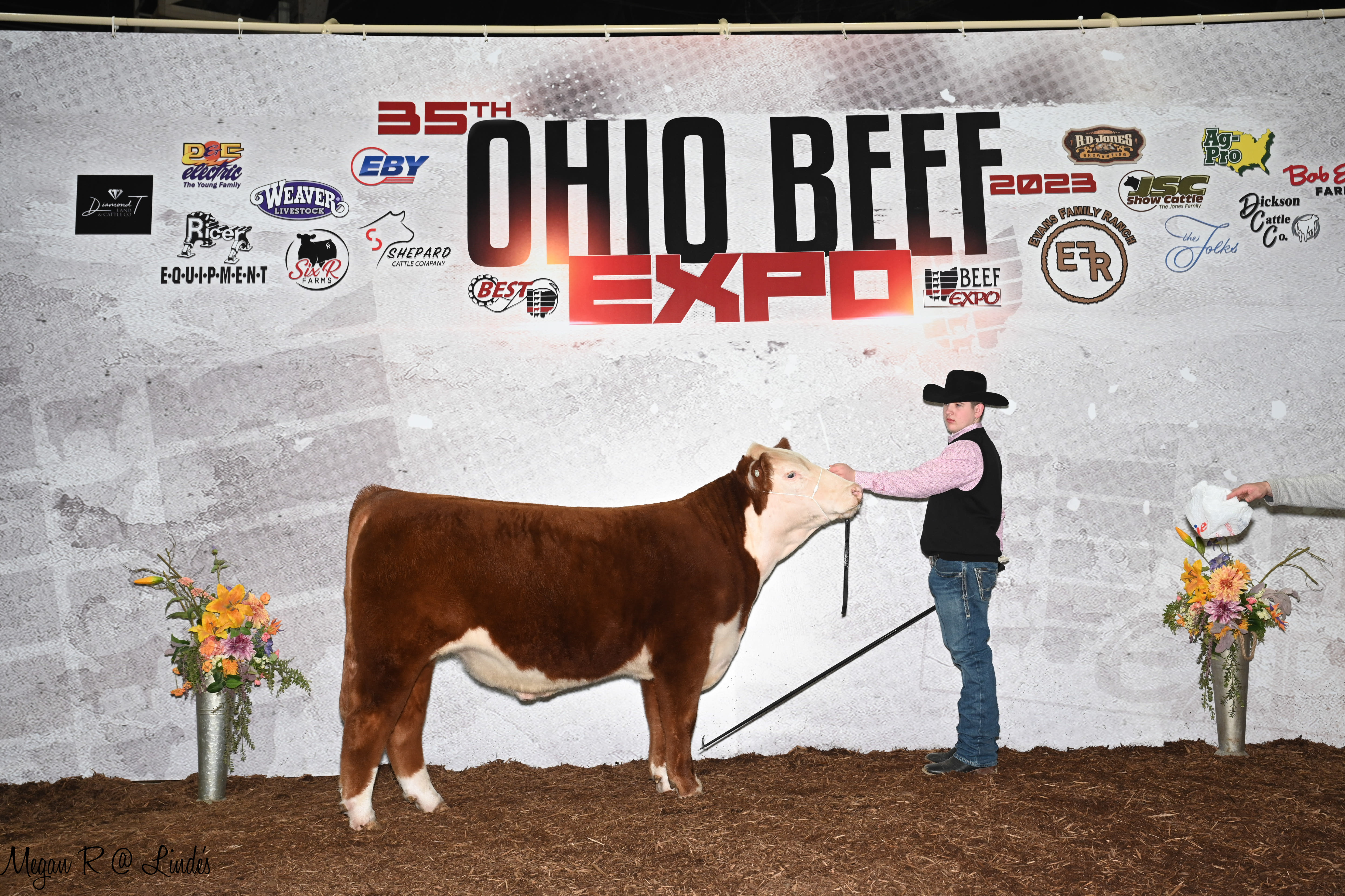 A young boy holding his brown and white cow's reins. They stand before the Ohio Beef Expo's back drop