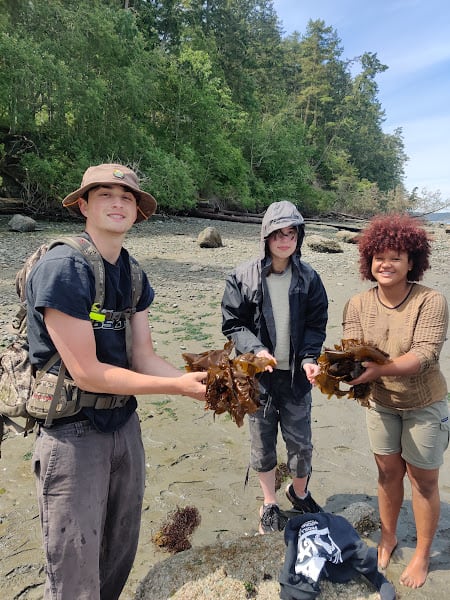 3 students on the beach with kelp in their hands