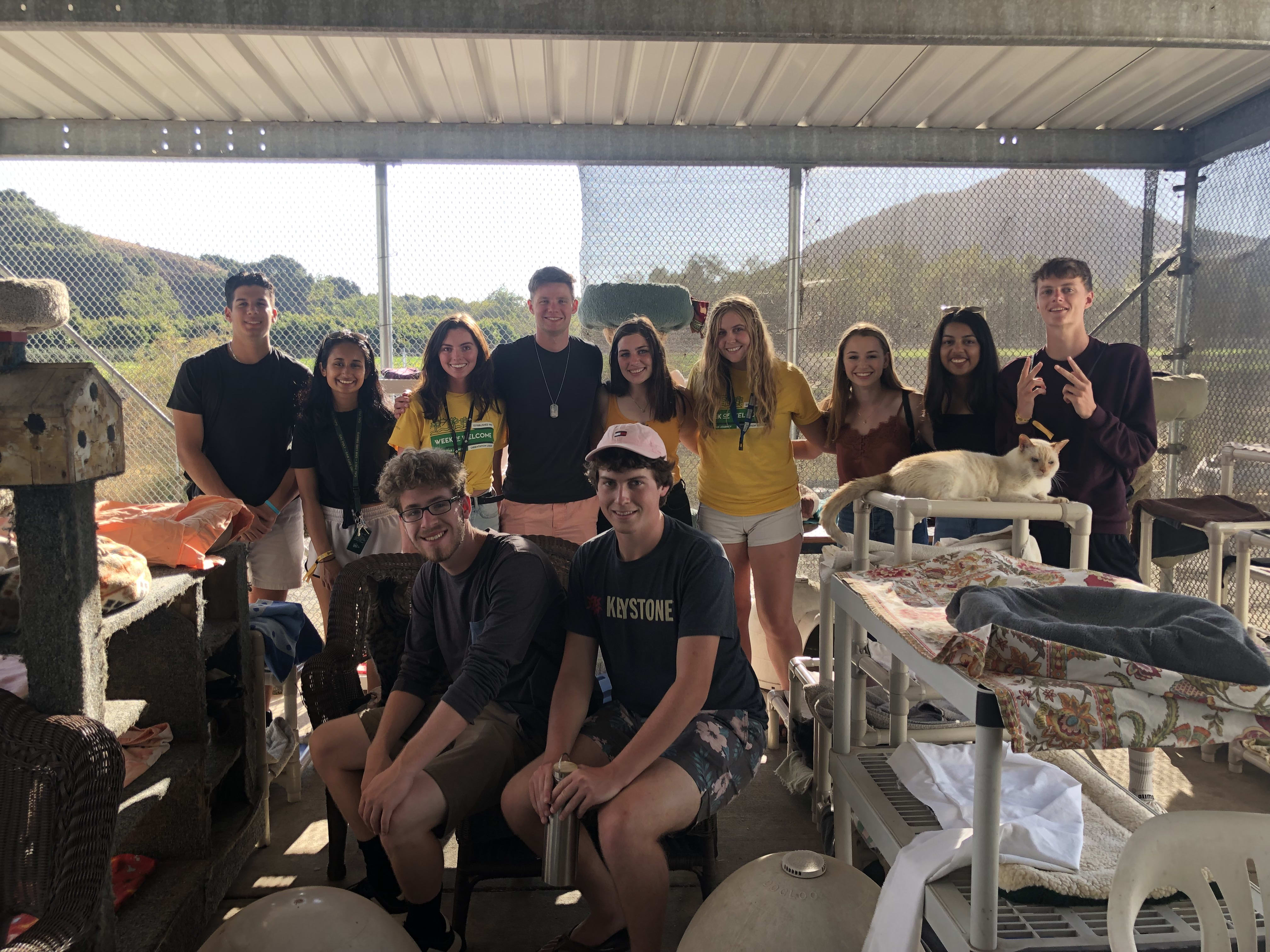 Cal Poly Cal Poly Cat Program
