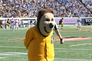 Oski - Memorial Stadium UCLA