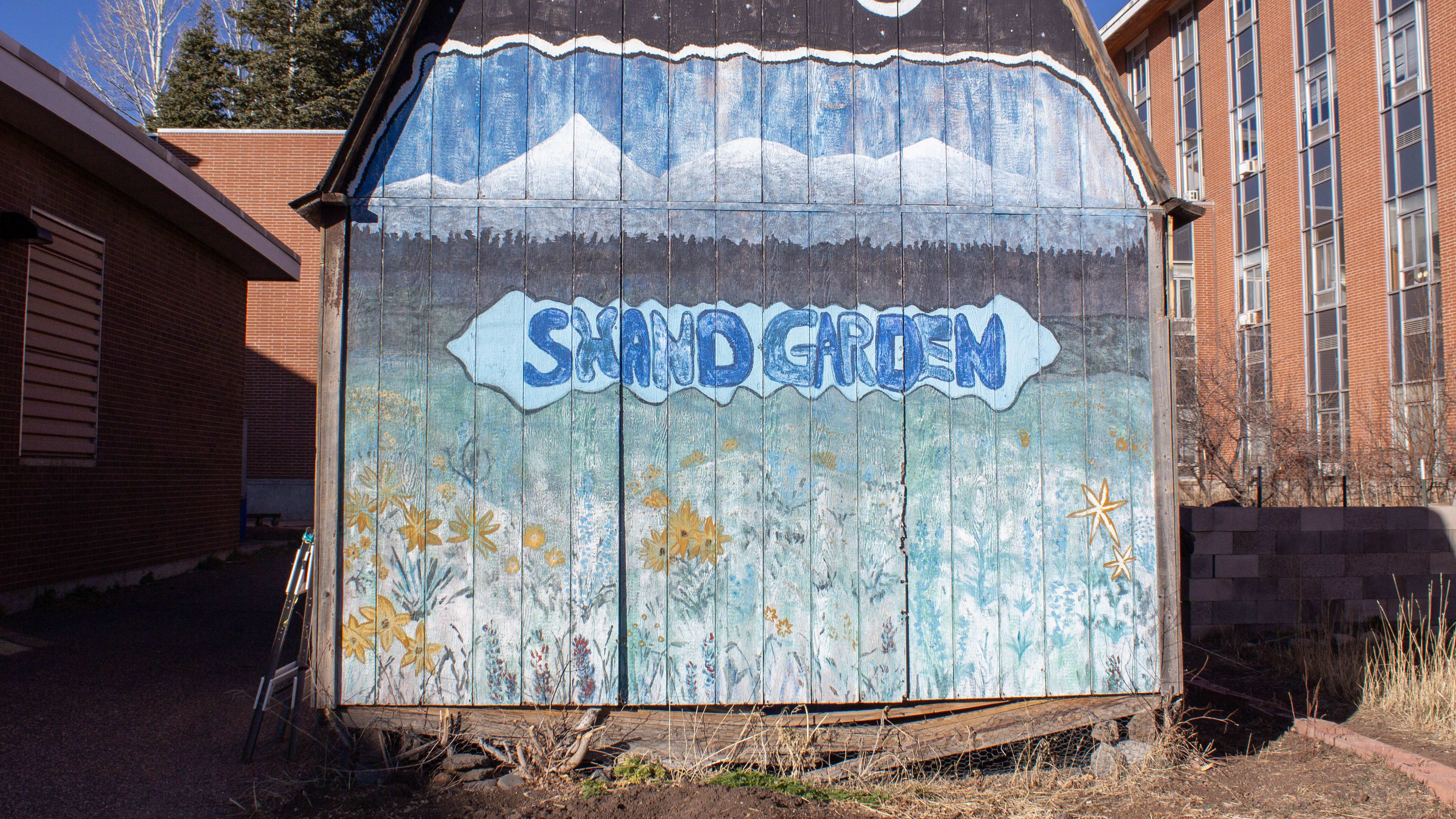 The shed we need to replace