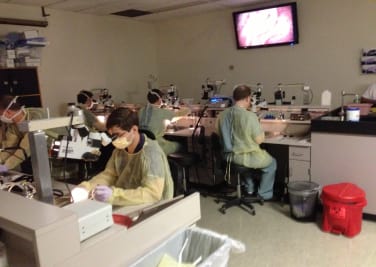 Students and Resident trainees practice surgical techniques during the Tempora Bone Course