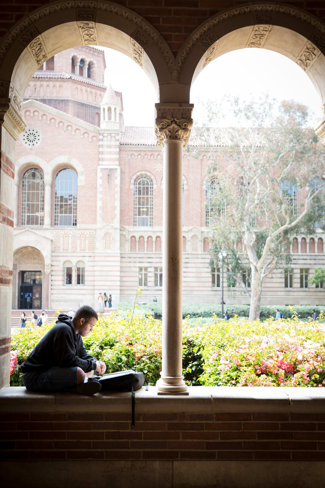 student studying