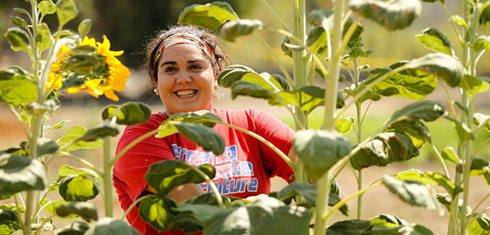 An ag student surrounded by sunflowers.