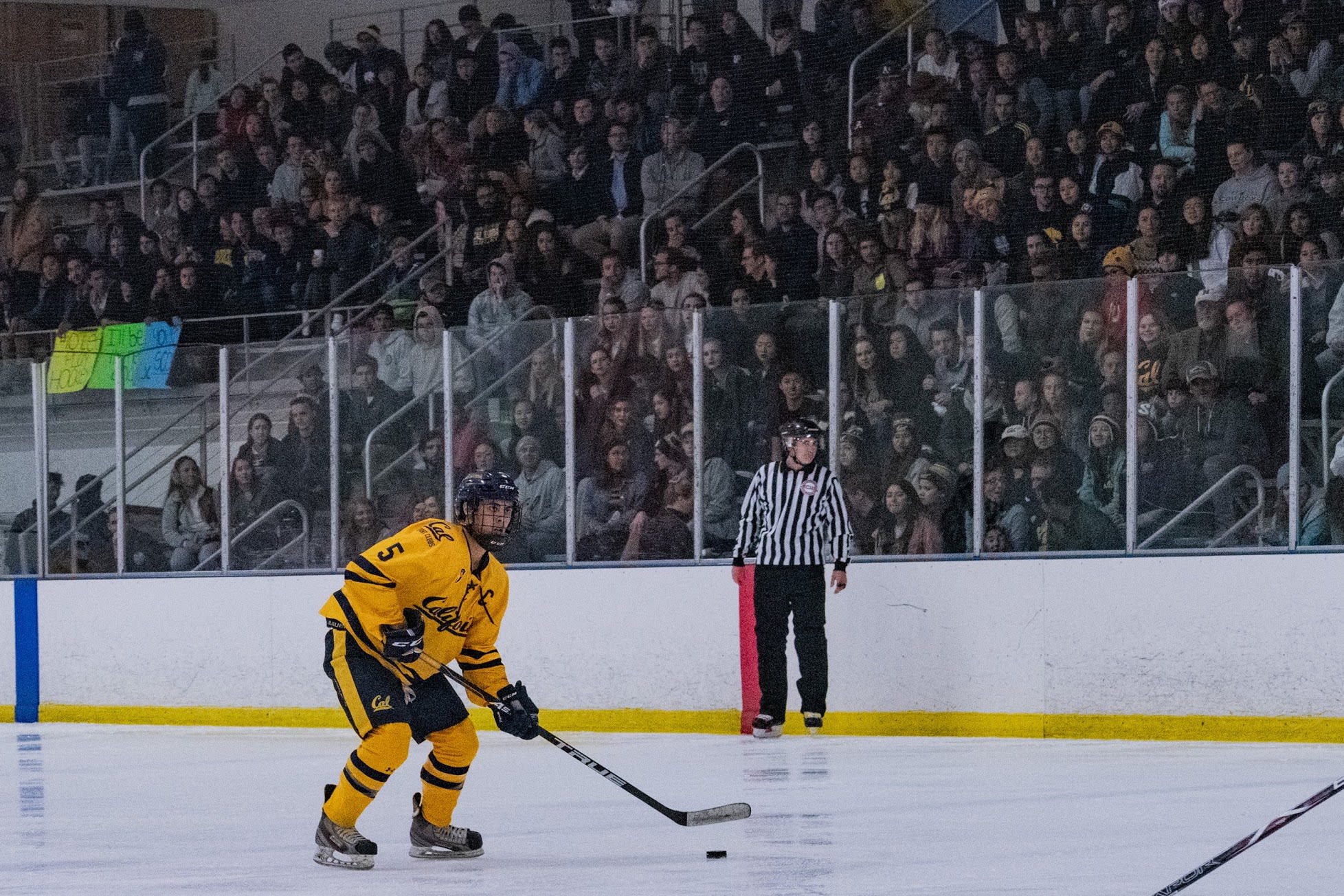 Past Projects California Ice Hockey Spring 2019 Campaign