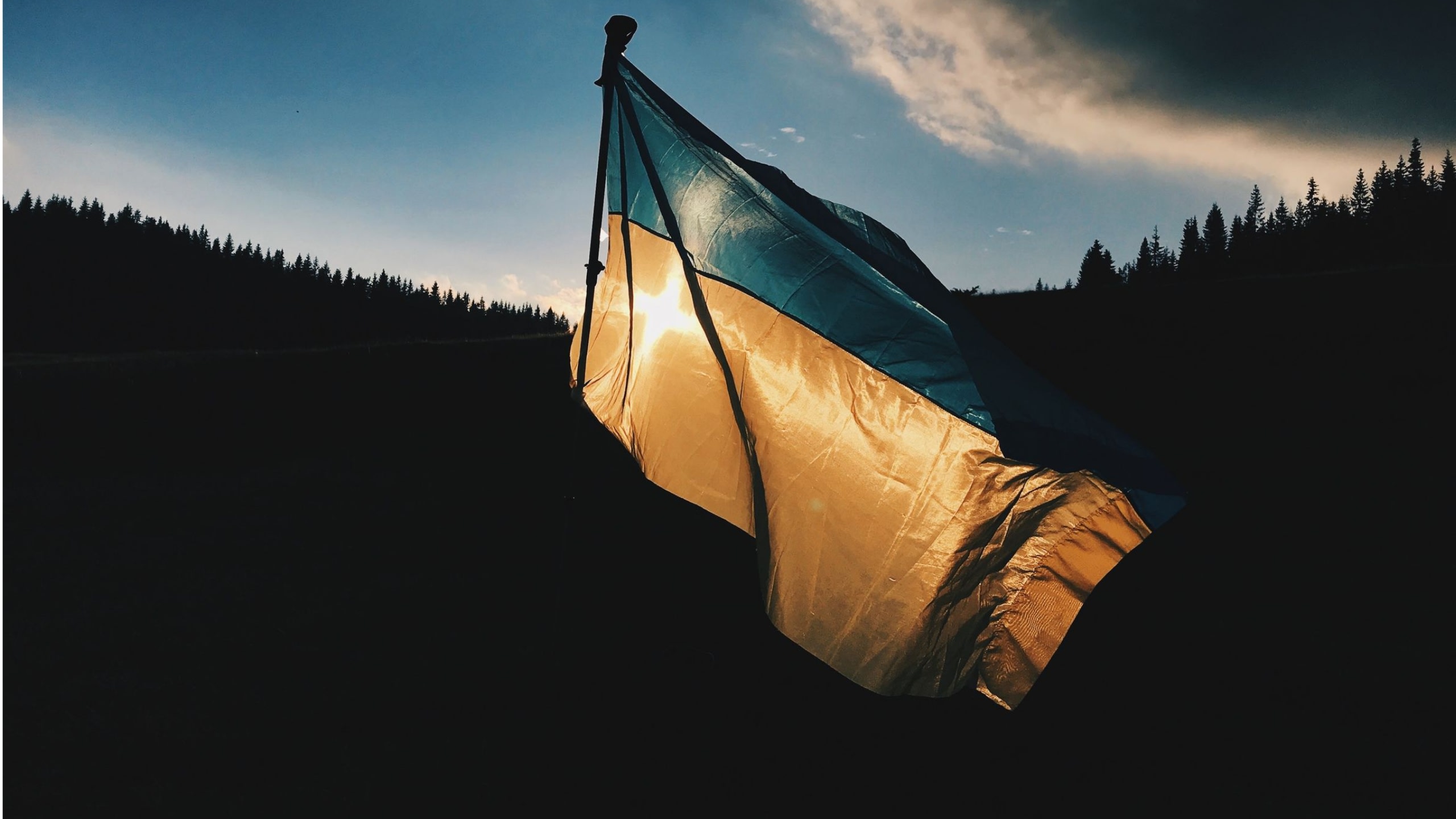 Ukraine flag waving in front of mountains