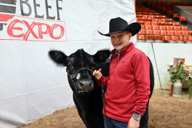 A young boy in a red pull over holds a black steer close. They stand before the Beef Expo backdrop 