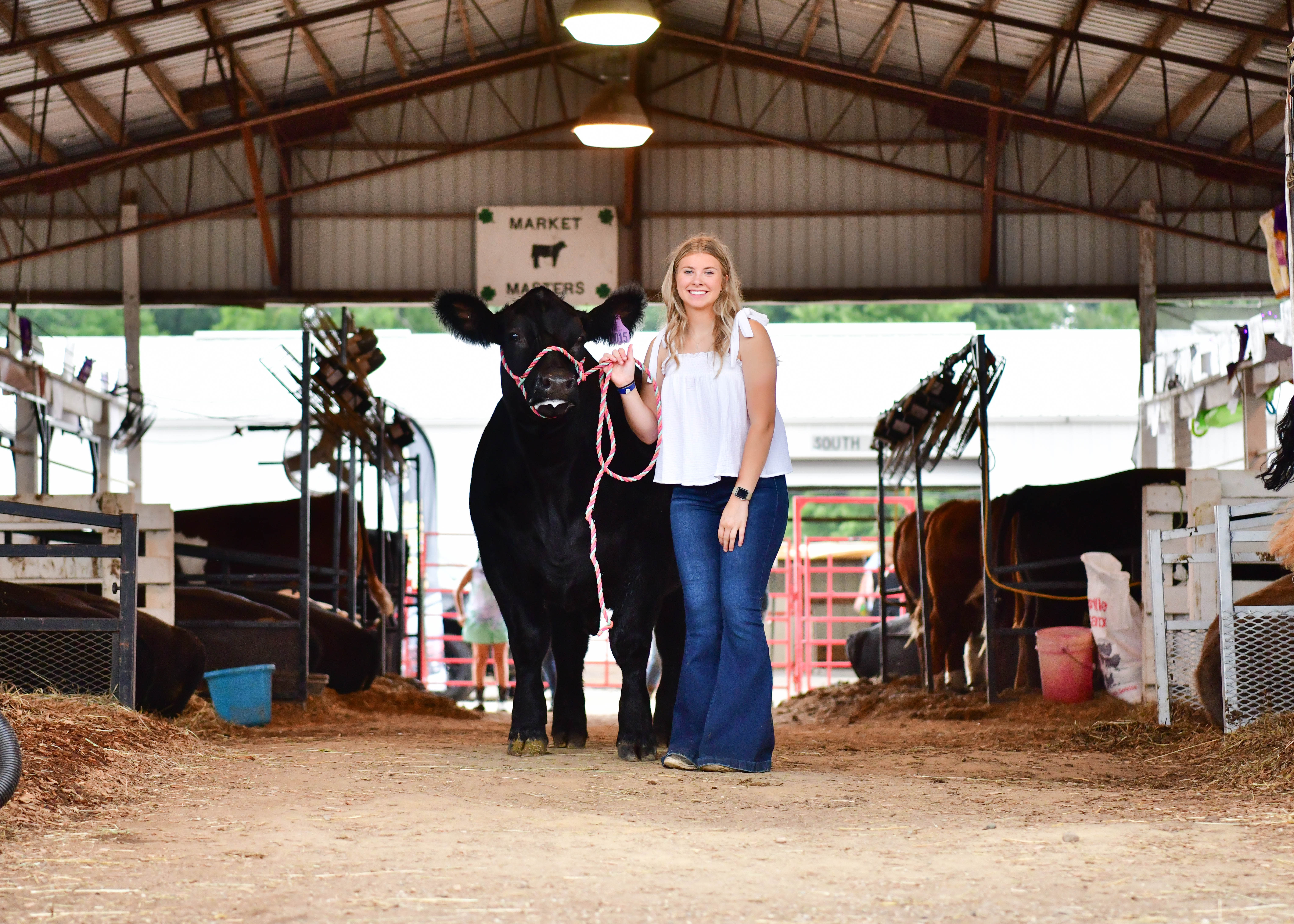 Individual standing next to a steer in a barn