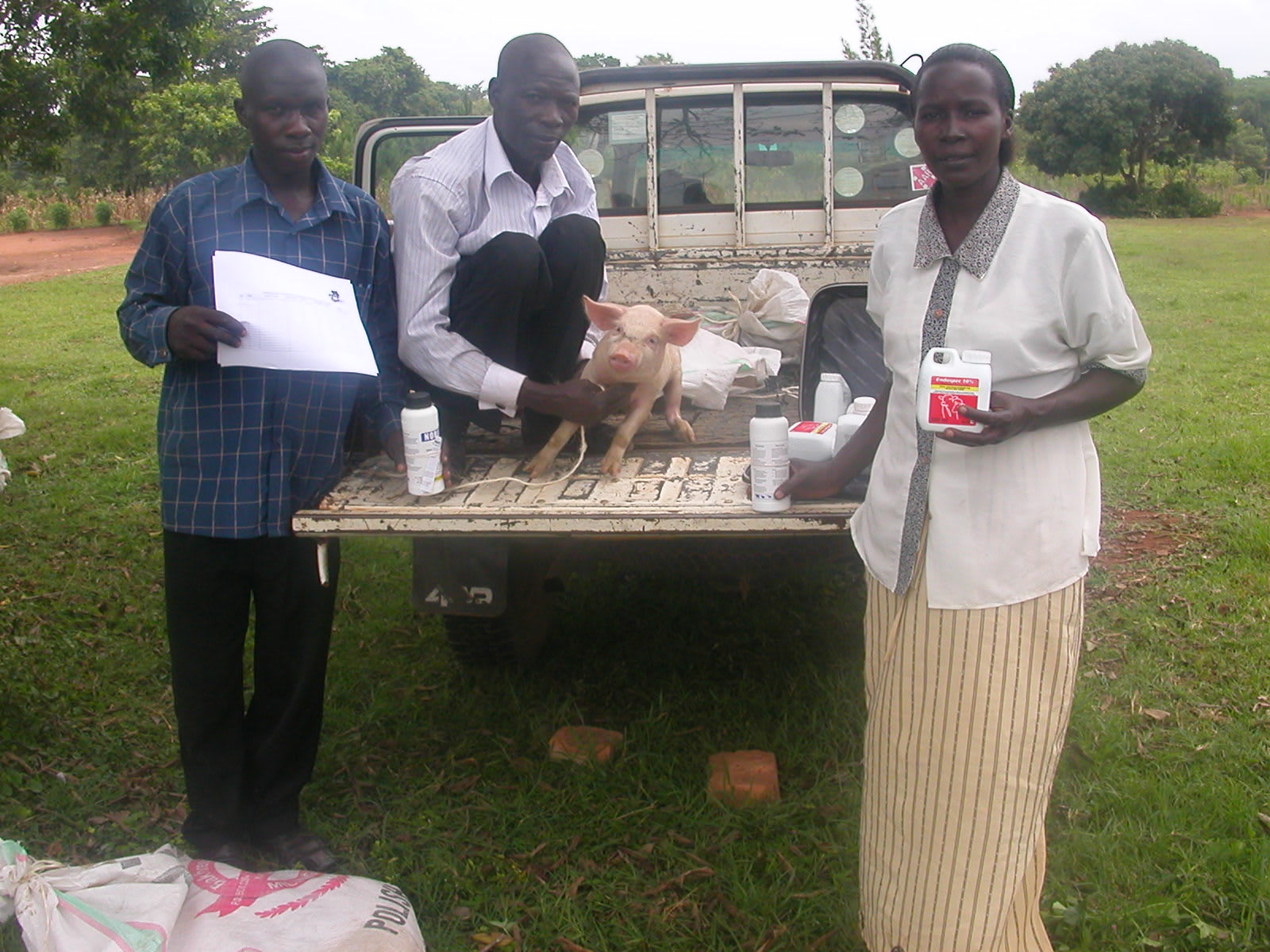 Pig Vaccination Traininig