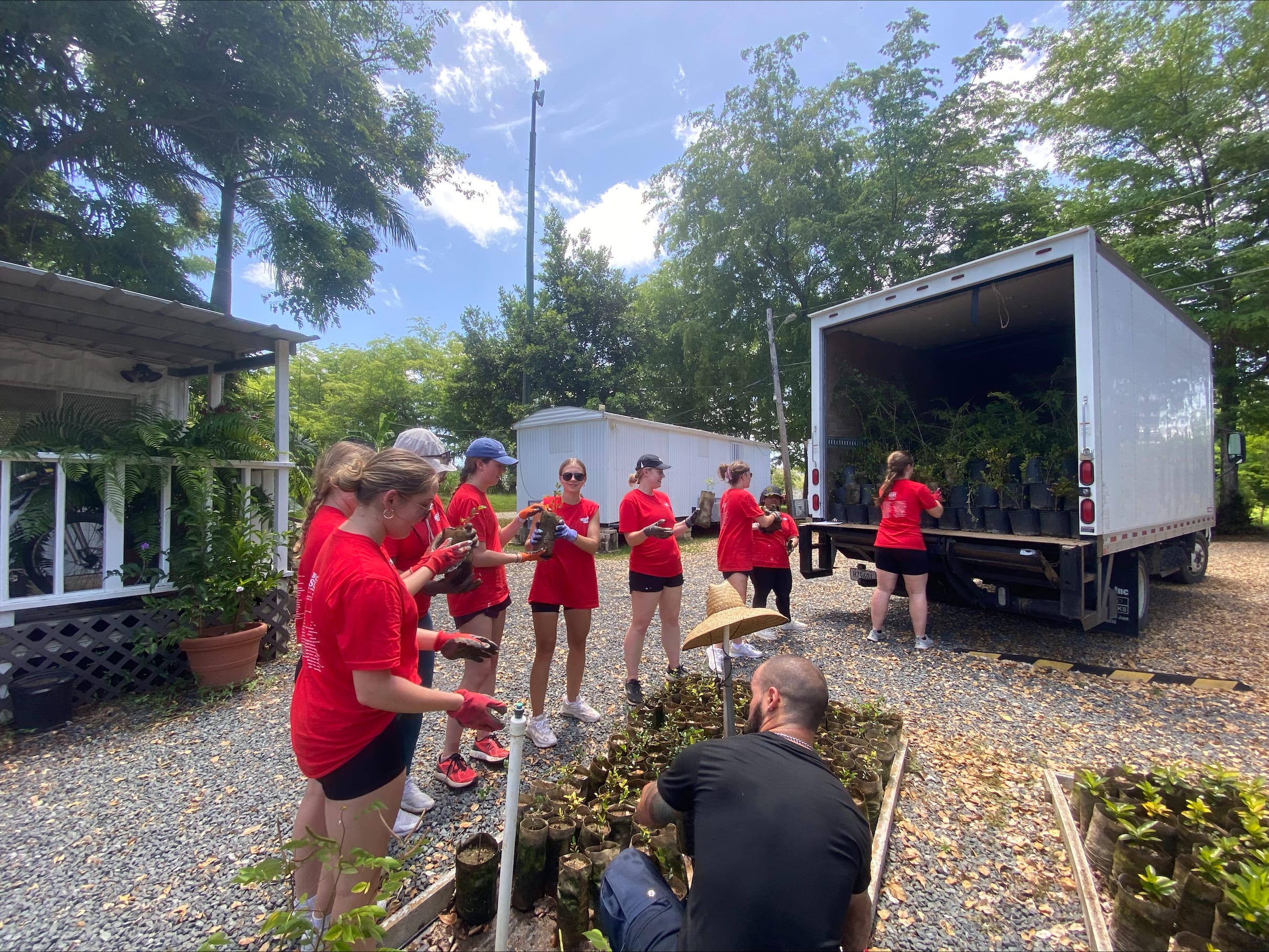 Students in a line putting plants in a truck