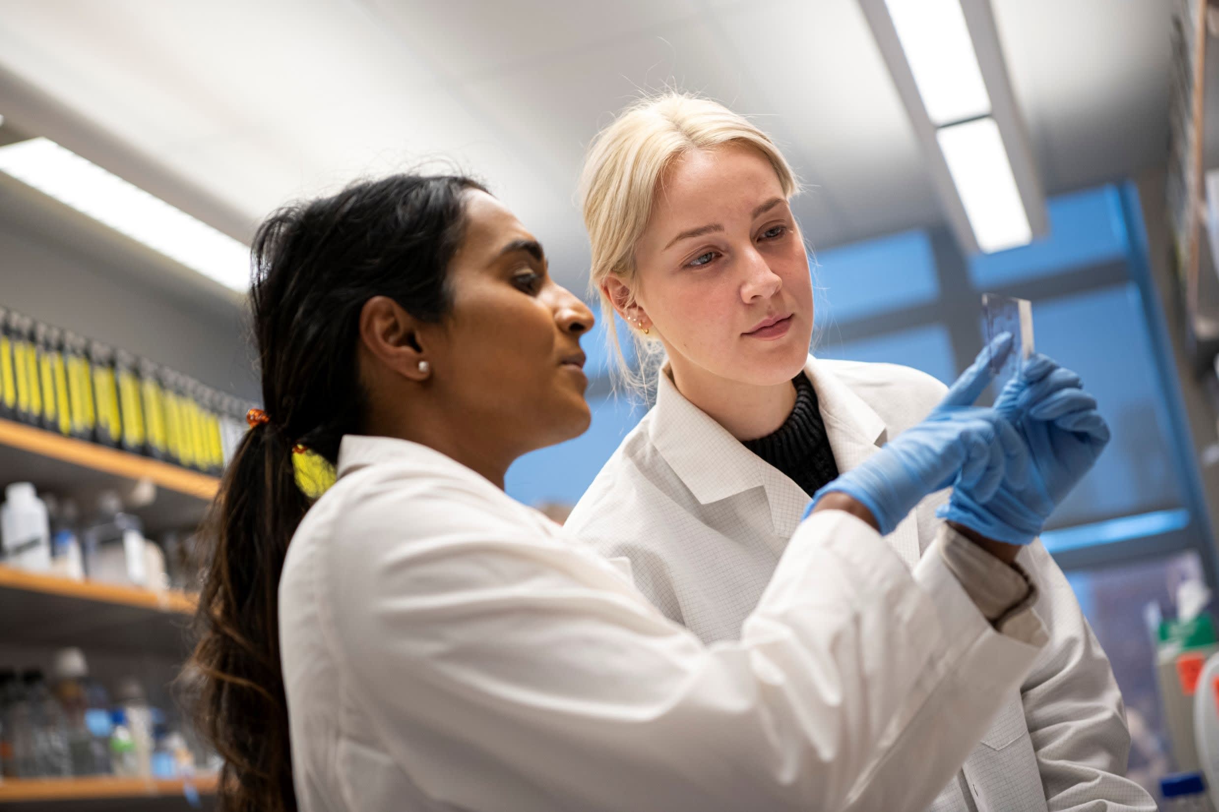 Two students working together in a lab