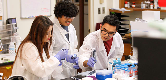 Students working in a laboratory