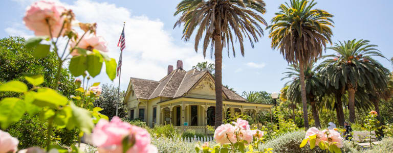 Building surrounded by flowers and 2 palm trees in front