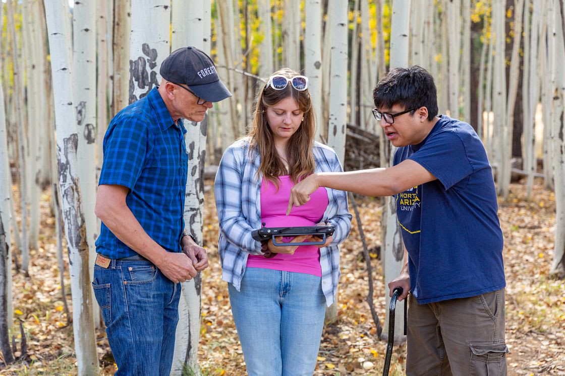 Forestry instructor and students in an aspen grove