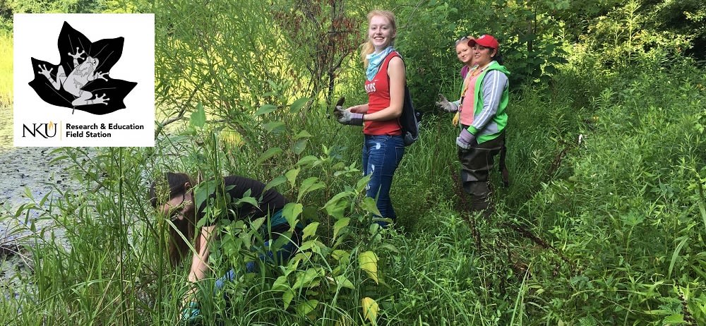 Image: NKU REFS students at St. Anne Wetlands