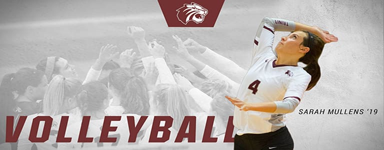 volleyball banner image