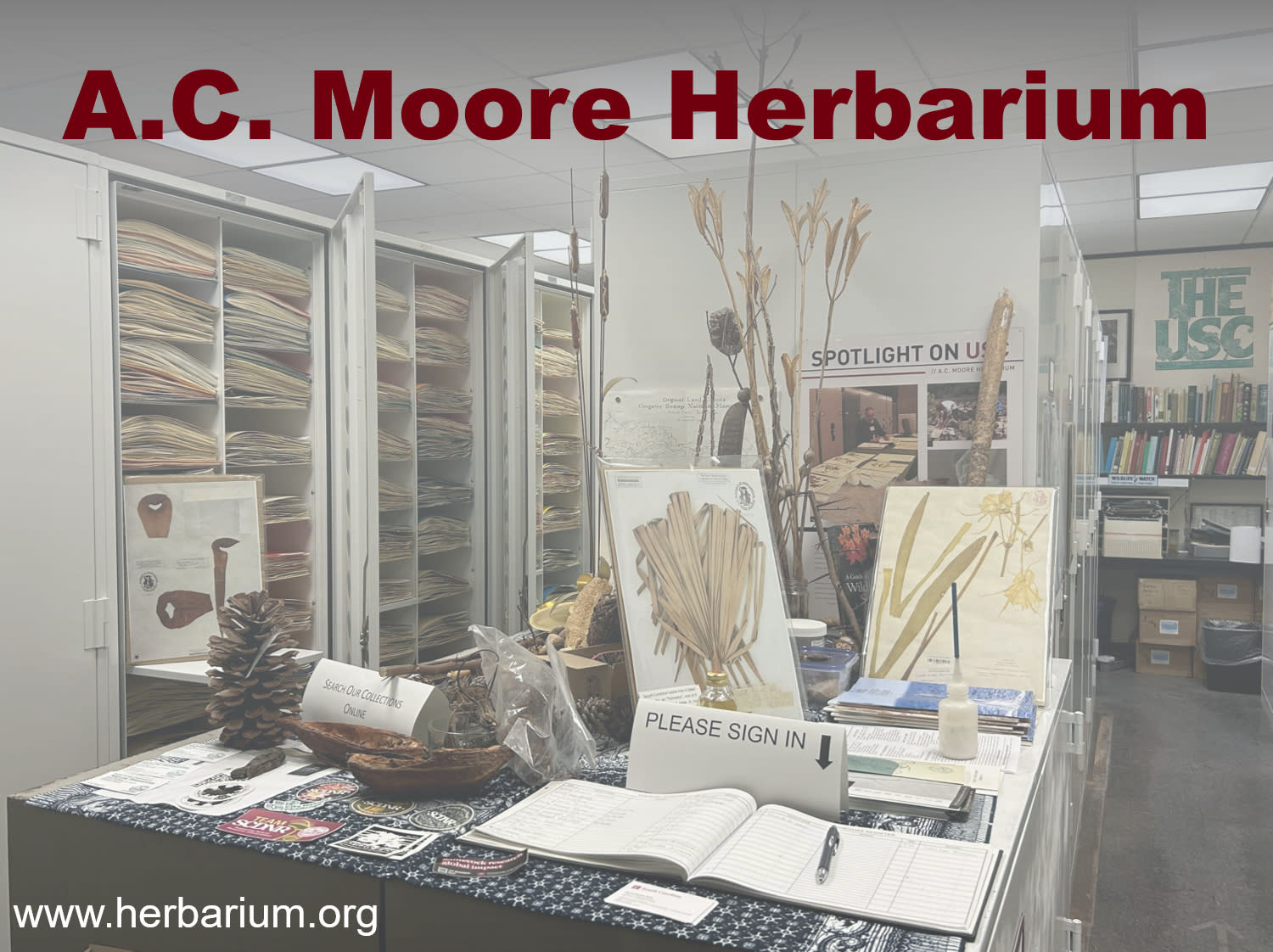 Picture of inside the A.C. Moore Herbarium collection with web address www.herbarium.org