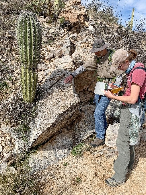 university of arizona geology phd