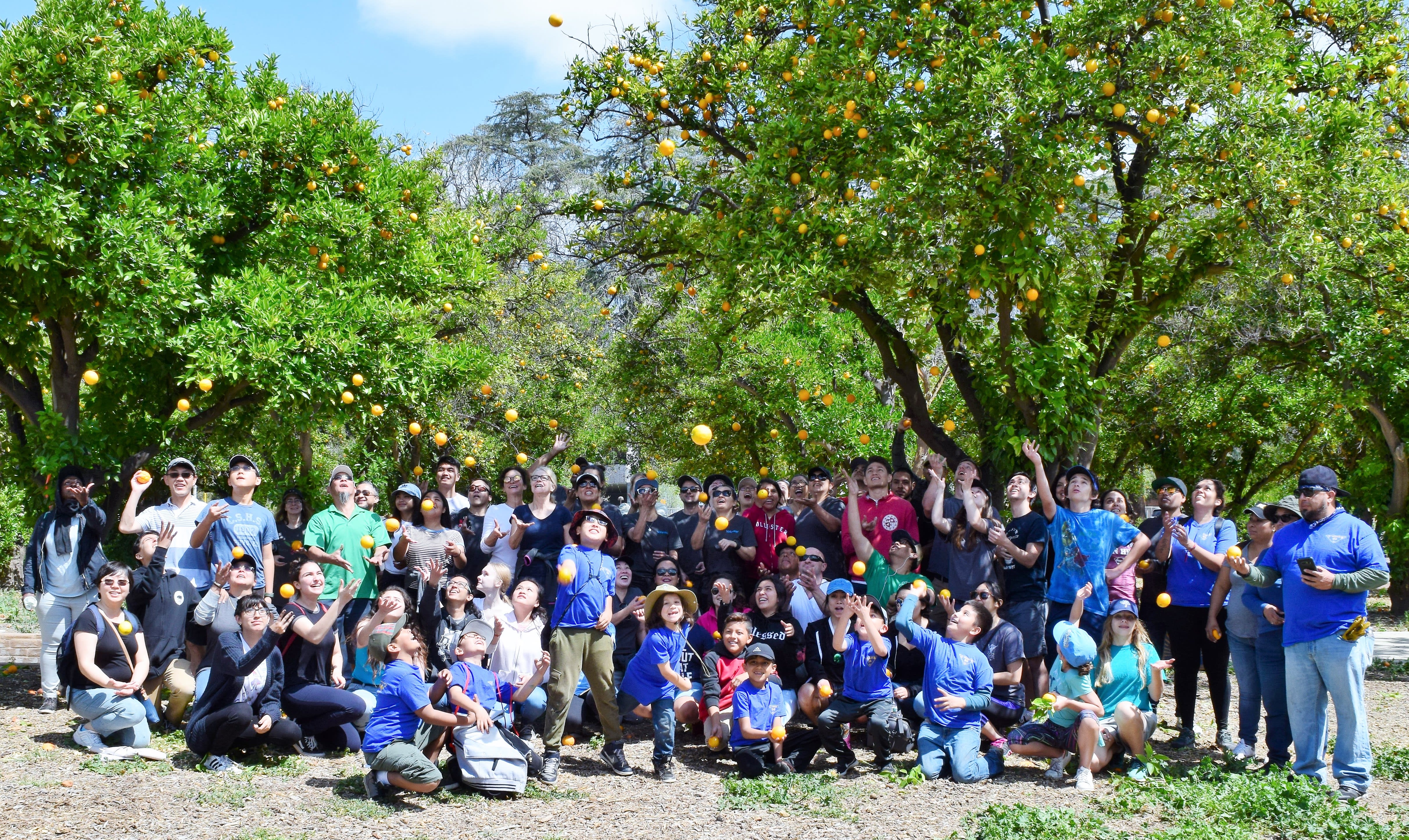 Orange grove group photo